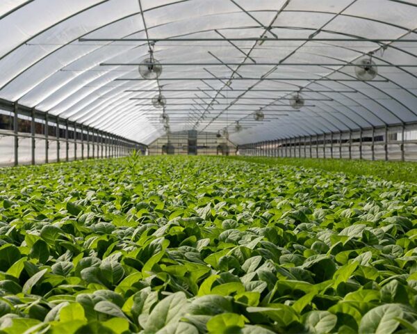 Advanced Plant Nutrition Technology