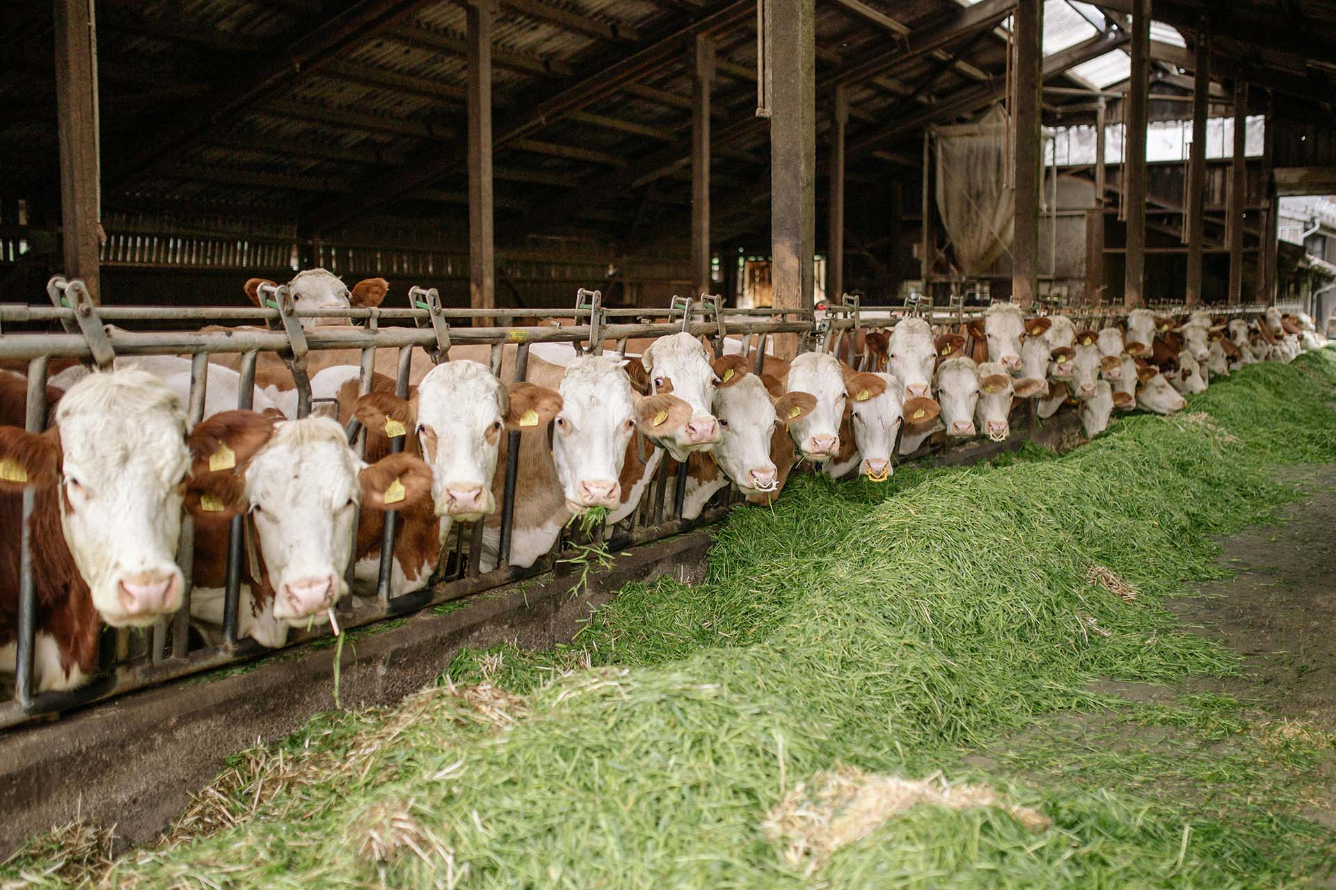 Agricultural Waste Recycling & Reuse