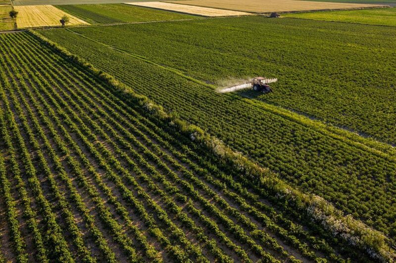 3、Soil Regeneration & Ecological Restoration