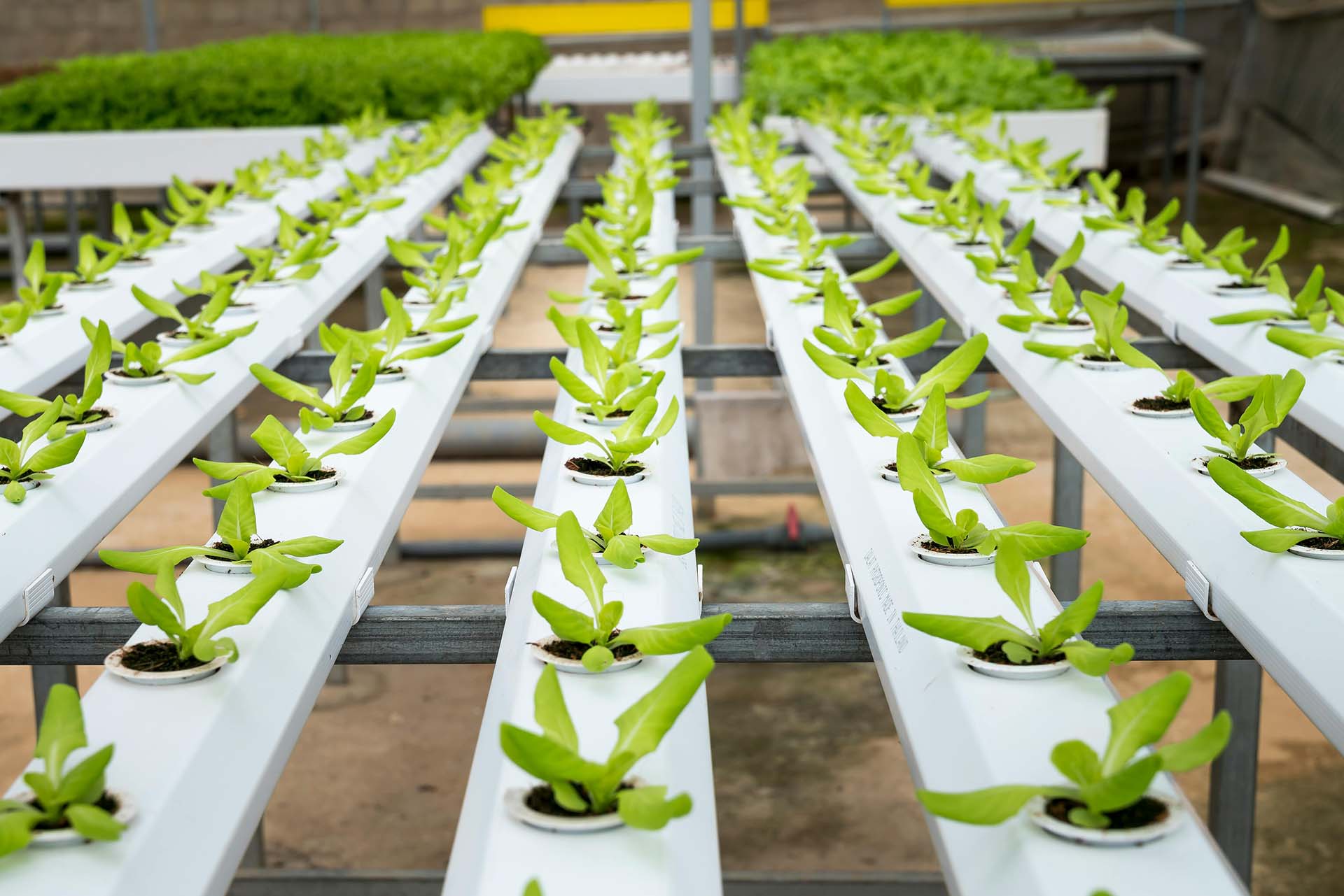 Smart Low-Carbon Agriculture